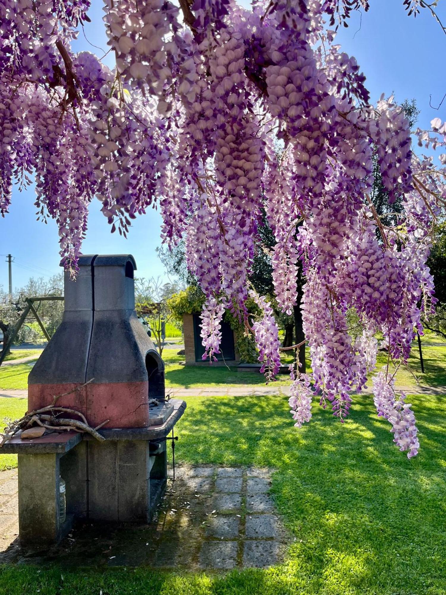 Agriturismo Valdo Гроссето Экстерьер фото