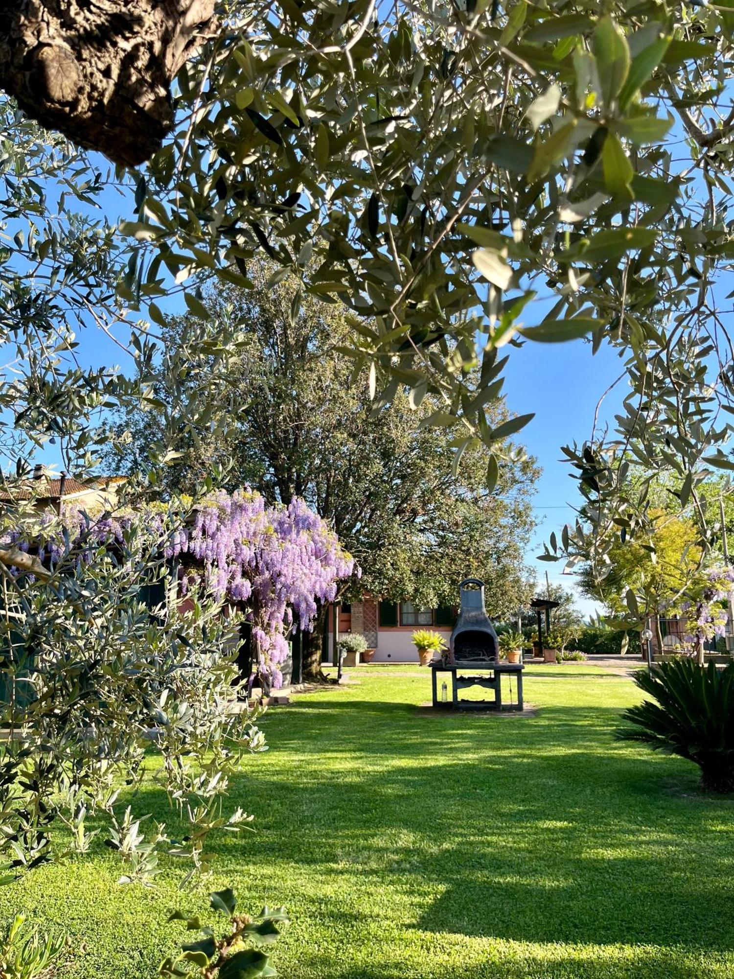 Agriturismo Valdo Гроссето Экстерьер фото